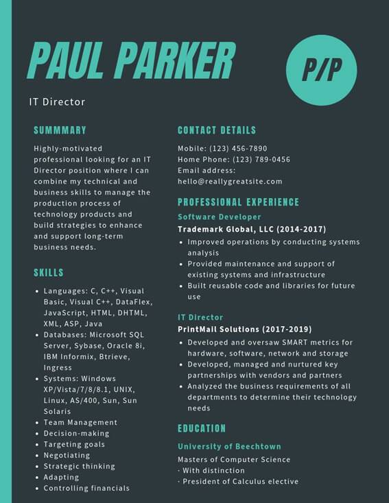 free download director level professional resume templates