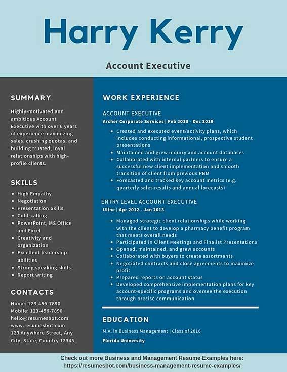 Sample Cv For Account Executive