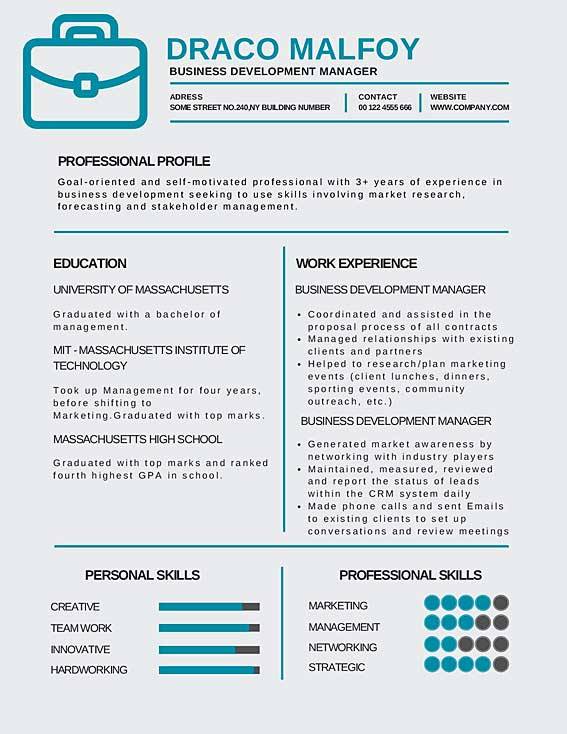 Business Development Manager Resume Samples Templates Pdf Word Business Development Manager Resumes Bot