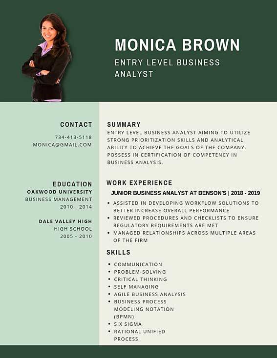 Entry Level Business Analyst Resume Example