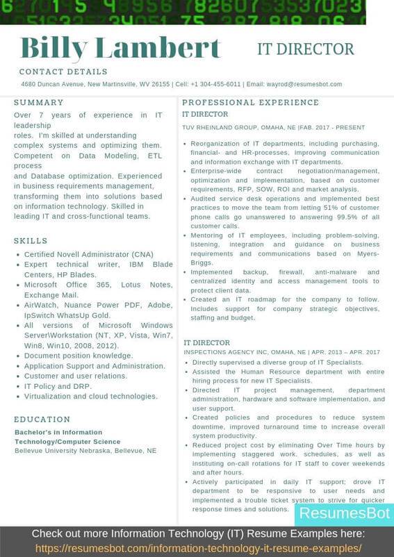 Information Technology Director Resume Samples & Templates 2024 RB