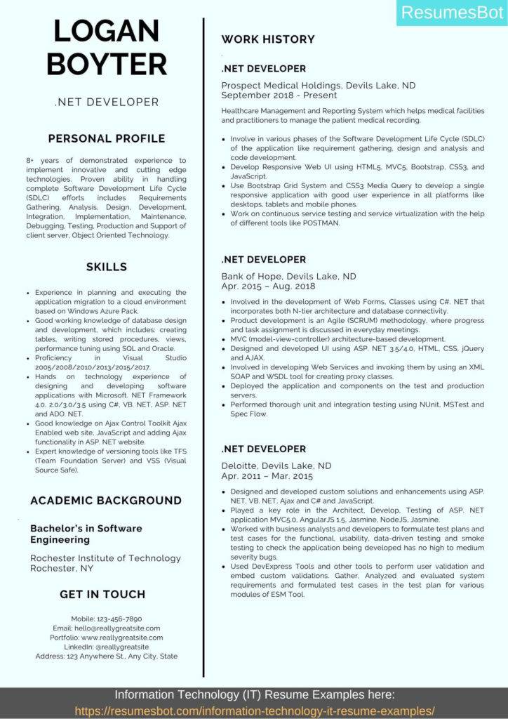 Developer Resume Sample (Example) + Guide 2024 RB