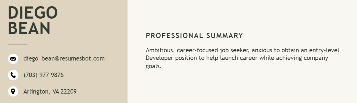 resume header for entry level resume