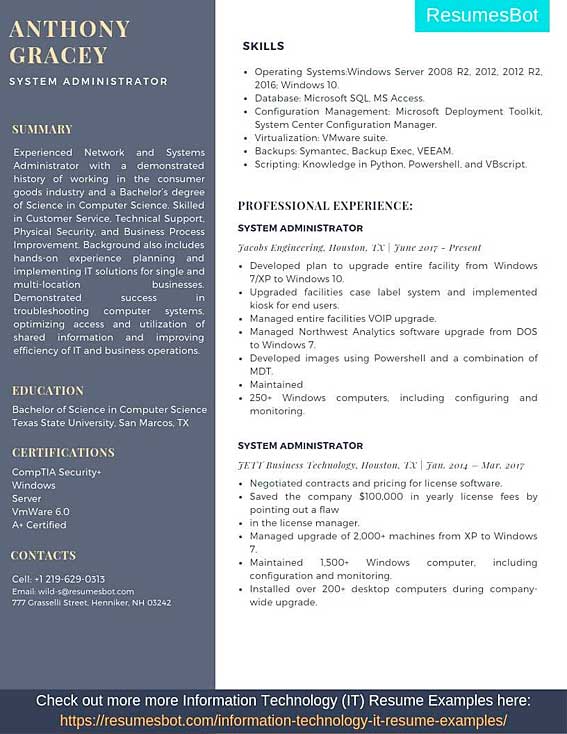 Ceo Technology Resume Example