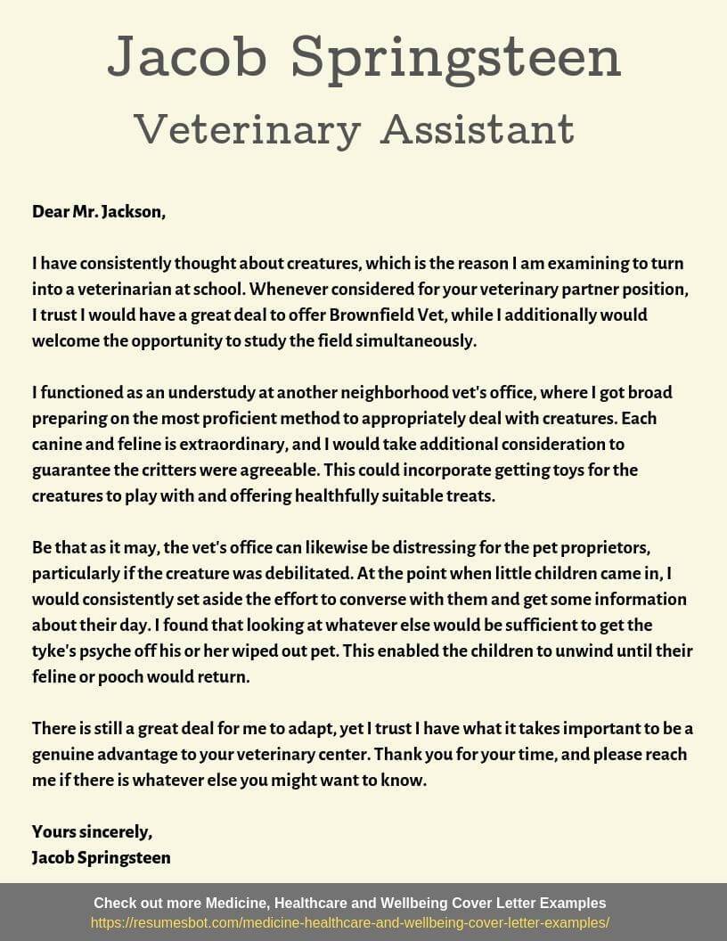 How To Be A Veterinary Assistant Essay