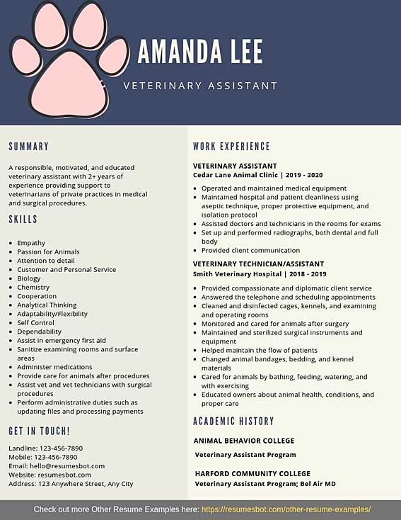 summary for resume vet